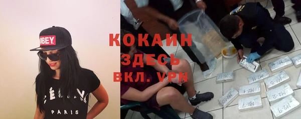 MESCALINE Бородино