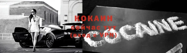 MESCALINE Бородино