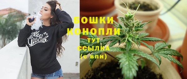 ешки Бронницы
