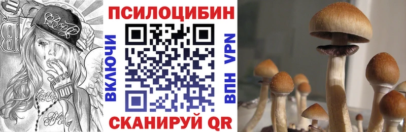 купить  сайты  Троицк  Псилоцибиновые грибы Cubensis 